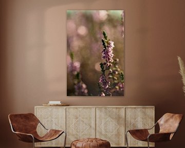 Mooie warme bloeiende heide met bokeh van KB Design & Photography (Karen Brouwer)