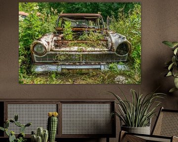 Old abandoned car taken over by nature. by Axel Weidner