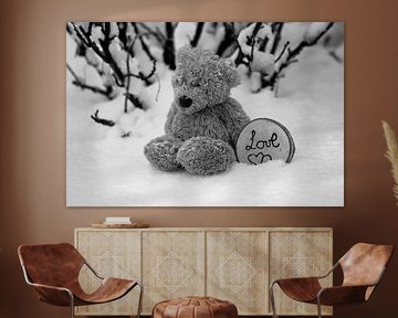 neige, ours, amour, noir et blanc
