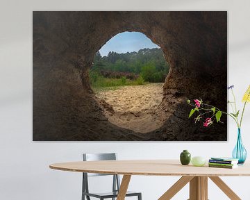 Au bout du tunnel sur Arno van der Poel