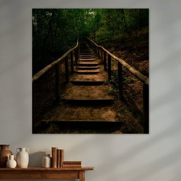 Die geheimnisvolle Treppe