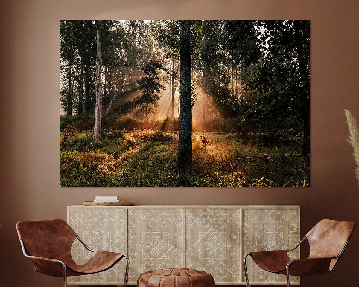 Voorbeeld van het werk in een kamer