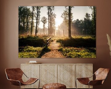 Kleine Brücke im Sonnenlicht des Leeuwardener Waldes von Nando Foto