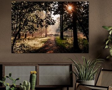 Passage éclairé au lever du soleil dans le Bos Leeuwarder sur Nando Foto