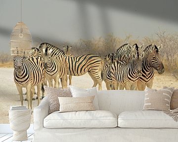 Crossing zebras in Etosha National Park by Renzo de Jonge