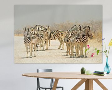 Traversée de zèbres dans le parc national d'Etosha sur Renzo de Jonge