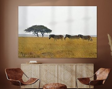 Zebra's onderweg in Etosha National Park van Renzo de Jonge