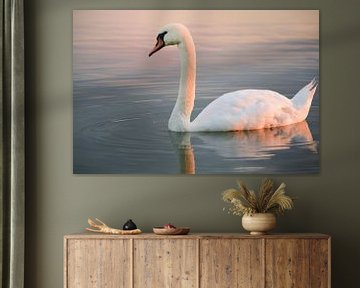 Swimming swan by Ulrike Leone