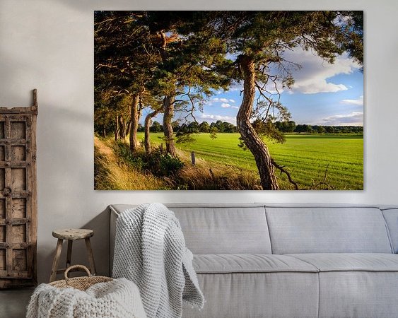 Aperçu de la chambre