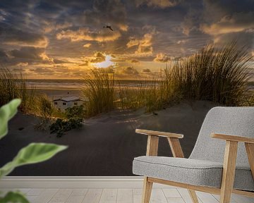 De schoonheid van de Hollandse duinen. van justus oostrum