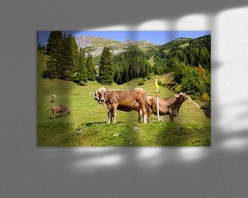 Kühe auf Alpweide von Johan Vanbockryck