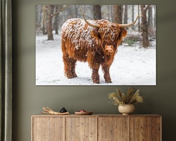 Porträt eines schottischen Hochlandrindes im Schnee von Sjoerd van der Wal
