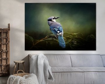 Blauwe Gaai - Vogel Op Tak Met Groene Bladeren