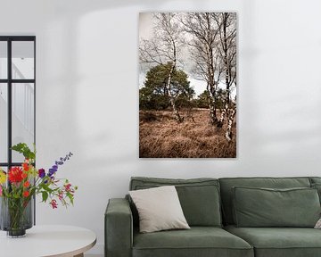 nature in the netherlands 5