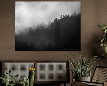 Trees in the fog 1 by Fernando Salgado