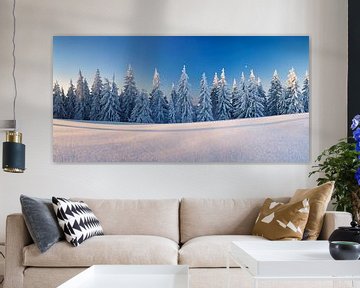 Winterlandschaft auf dem Belchen, Schwarzwald von Markus Lange