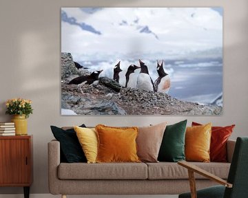 Pinguïns op Antarctica van Angelika Stern