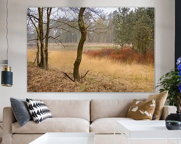 The Hague thorny heath by Johan Vanbockryck