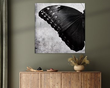 A Set of Two Butterflies van David Potter