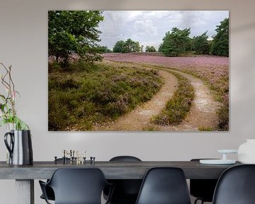 Heather on Tenhaagdoornheide by Johan Vanbockryck