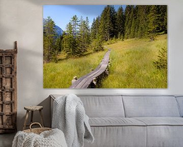 Sentier de randonnée dans les Alpes sur Johan Vanbockryck