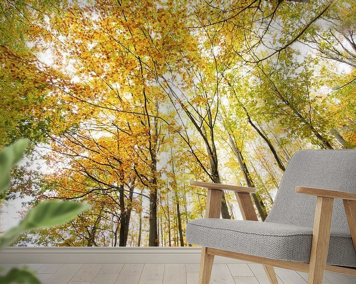 Sfeerimpressie behang: Herfst in de lucht van Ellis Pellegrom