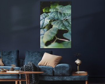 Scrollen kamer
