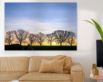 Silhouet van bomen van Johan Vanbockryck