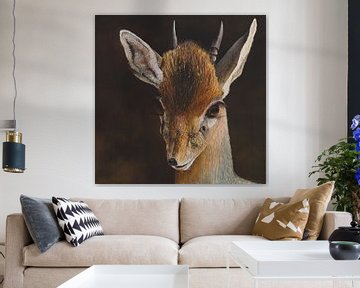 Dikdik antilope hert schilderij