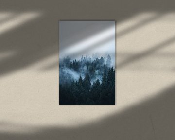 Nebel durch den Wald in den Dolomiten von Dylan Shu