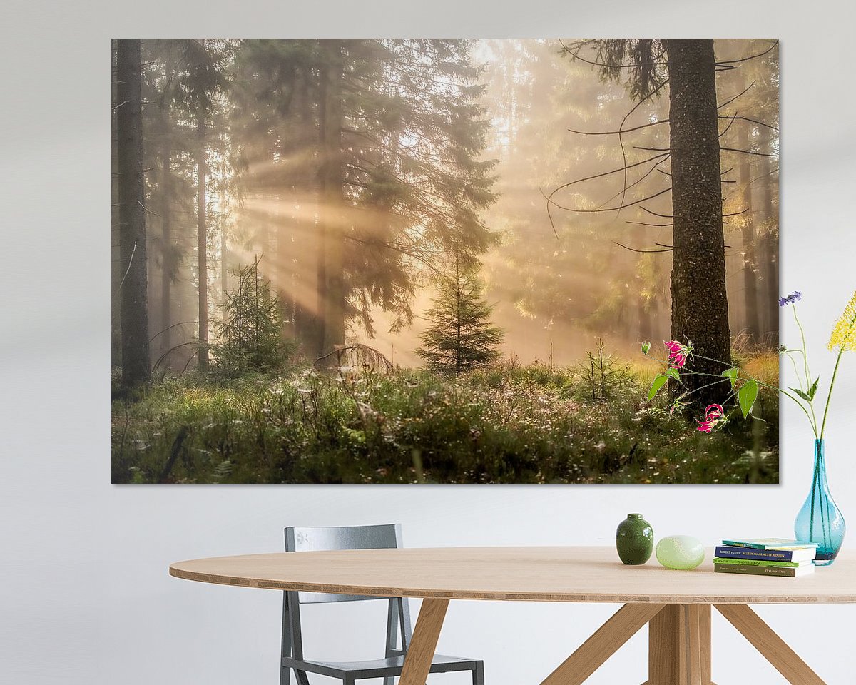 Voorbeeld van het werk in een kamer