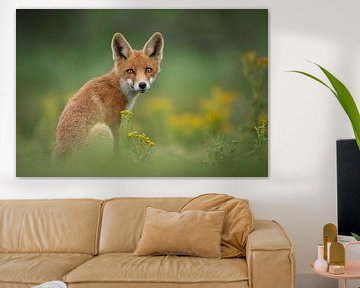 Fox cub flower field by Isabel van Veen