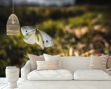 Schmetterling