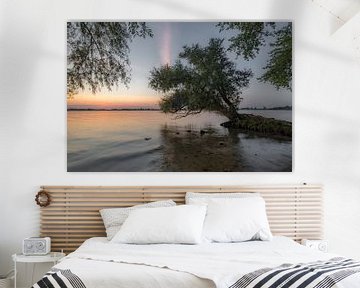 Boomwortels - mangrove van Moetwil en van Dijk - Fotografie