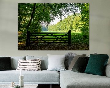 Green forest and field