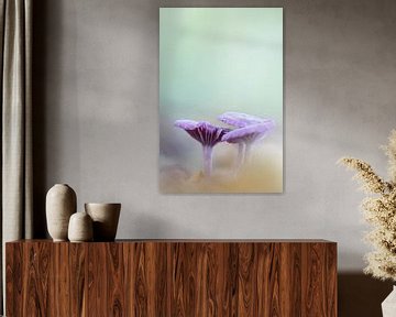 Purple mushrooms by Irma Grotenhuis