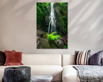 Burgbach waterval met groene voorgrond van Christian Klös