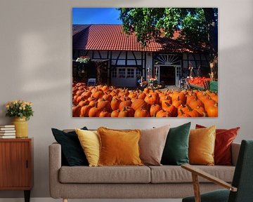 Heinen Farm 3