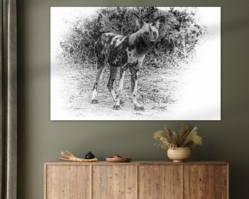 Afrikaanse Wilde Hond. van Gunter Nuyts