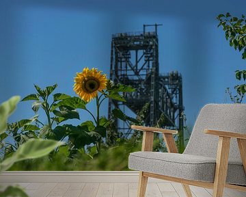 Spoorbrug De Hef, met zonnebloem op de voorgrond