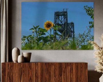 Eisenbahnbrücke De Hef, mit Sonnenblume im Vordergrund von Patrick Verhoef