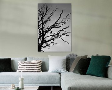 Silhouette eines toten Baumes von Marieke Funke