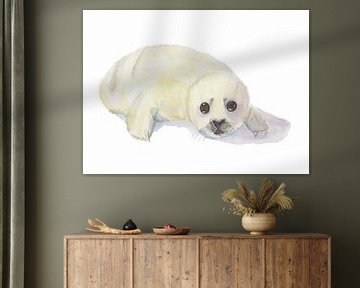Seal pup, weeping on white isolated background by Yvette Stevens