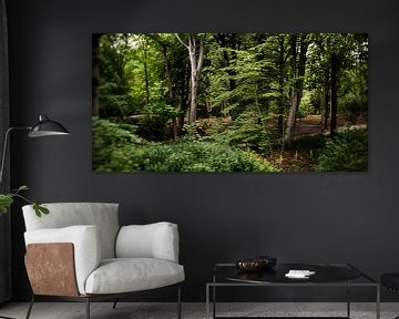 Natuurfoto van een Hollands park met oude bomen en slootjes van MICHEL WETTSTEIN