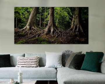 Natuurfoto van oude bomen in een typisch Hollands park van MICHEL WETTSTEIN