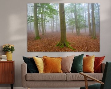 Matin brumeux dans la forêt de Leuvenum dans la nature du Veluwe sur Sjoerd van der Wal Photographie