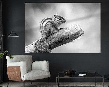 Portrait d'un écureuil en noir et blanc sur Evelien Oerlemans