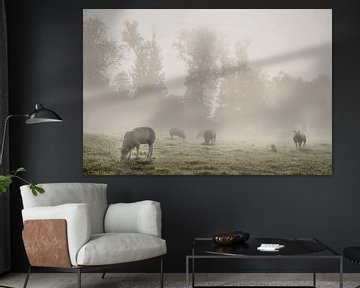 Sheep in the meadow by Elianne van Turennout
