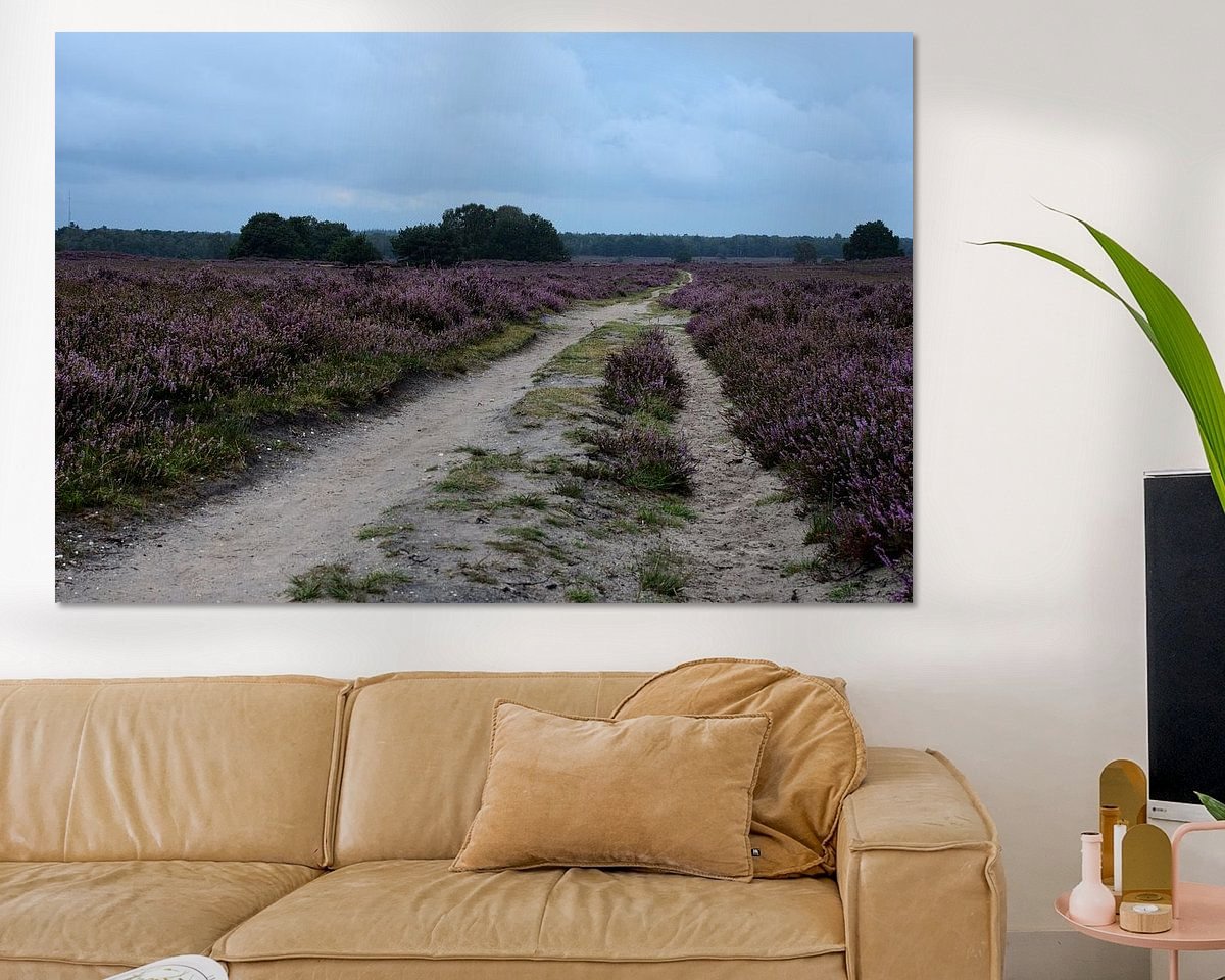 Raumvorschau