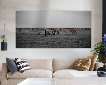 Horse landscape by Lens Design Studio